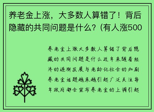 养老金上涨，大多数人算错了！背后隐藏的共同问题是什么？(有人涨500)